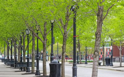 Rigenerazione urbana: un futuro sostenibile per le città